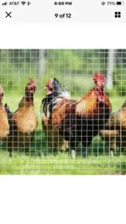 Hardware Cloth Galvanized Welded Fence Wire Mesh Chicken Coop/Run/Cage/Pen