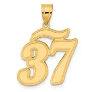 14k Yellow Gold Brushed Border Script Number 37 Pendant