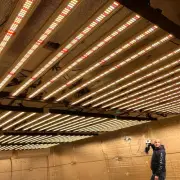 Spider 1000W Most Efficient Full Spectrum Grow Light Commercial Grow CO2 Indoor