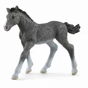 Trakehner Foal Figurine 13944