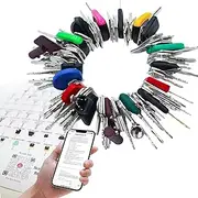 Plant Ignition Starter Key Set (100Pcs) - 5 Wire Keychains, Excavator Heavy Machinery Key Set for Agricultural, Digger, Dumper, Roller, Forklift, Backhoe Tractor Etc
