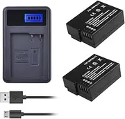 2Pc DMWBLC12 (2100mAh) + Charger for Panasonic DMW-BLC12E DMW-BLC12PP FZ200 FZ1000 DMC-G5 DMC-G6 GH2 V-LUX4 G5