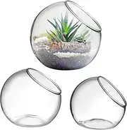 HEMOTON 3 Pcs Glass Containers Succulent Planter Vases for Home and Office Decor Beveled Opening for Easy Planting for DIY Projects and Centerpieces