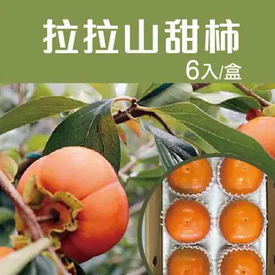 【喜樂拉拉山】拉拉山甜柿6入/盒