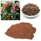 Clove Powder Ceylon Natural Organic Ground Clove Powder Aromatic Spice 80g