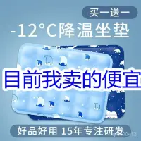 在飛比找蝦皮購物優惠-【臺北出貨】夏季坐墊汽車水墊降溫寵物冰涼墊子免註水凝膠學生冰