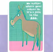 Funny Get Well Soon Donkey Knocks Pain On Its Ass Hallmark Greeting Card