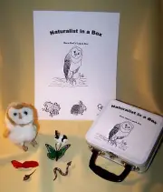 Barn Owl Naturalist Box Montessori lunch box educational toy homeschool