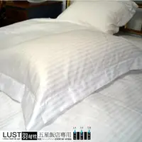 在飛比找momo購物網優惠-【LUST】五星級飯店專用-羽絨枕/羽毛枕/100%純棉表布