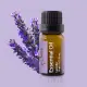 Bone / 薰衣草精油 Essential Oil - Lavender 10ml