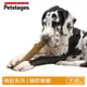 【Petstages】耐咬史迪克-L(潔牙 耐咬 安全無毒 狗玩具)