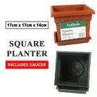 Square Garden Plastic Planters with Saucer Indoor Outdoor Flower Pot 17x17x14CM