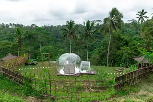 浪漫氣泡圓頂烏布飯店Romantic Bubble Dome Ubud