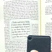 Folding Pocket Magnifier 2.5x, Genuine Leather Case, Low Vision Aid for reading