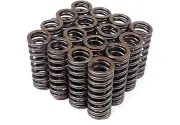 BLOX Single VALVE SPRINGS D16 D16Y D16Z / SOHC FOR Honda / Civic CRX Integra