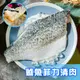 【鮮綠生活】台灣金目鱸魚清肉(400-500克±10%/包 )共10包