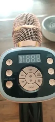 singing machine microphone