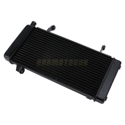 Engine Cooling Radiator Cooler For Suzuki SV1000 2003-2007 17710-16G10-000