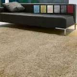 在飛比找遠傳friDay購物優惠-范登伯格 蝴蝶經典素色長毛地毯-共四色-150x200cm