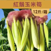在飛比找台灣好農優惠-【遇米甜】產銷履歷-紅鬚玉米筍 (12斤/箱)