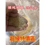 類地毯草  種子 20公斤特價區 又稱愛芬地毯草 匍匐性佳、根有固土作用，是良好的保土植物 具有耐遮蔭、耐踐踏、耐修剪