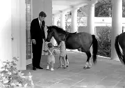President John F. Kennedy and children with pony Macaroni 1962 - New 8x10 Photo