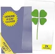 Real Genuine Four-Leaf Clover Bookmark Card - Laminated Pressed Leaves Good Luck Charm - Durable, Waterproof Preservation - Irish Gift, St. Patrick’s Day Gift(Purple Envelope)