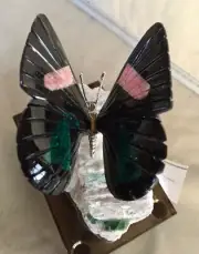Brazilian Butterfly on Tourmaline/Quartz Base 4 1/2 " - Peter Muller"