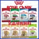 ROYAL CANIN 法國皇家 | 全品項狗飼料 | 狗糧 |幼母犬|成犬|貴賓|柴犬|室內犬|熟齡犬|幼犬|翔帥(580元)