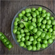 Pea (Shelling) - Massey Gem seeds