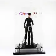 Cat Woman 1:6 Scale Figurine Acrylic Display Case *Figurine Not Include