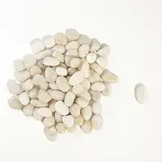 6 LBS River Rocks, StoneCreek, Decorative Garden Stones for Plant Landscaping, Polished Gravel Filler Pebbles for Home Decoration, Vases, Succulents, Flower Beds and Fish Tanks (White, Medium)