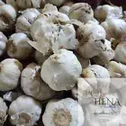 Garlic Peels Organic Dried Allium Sativum Peels Herb Natural Vitamins Herb
