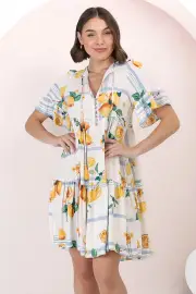 Lilou Mini Dress - Pull Over Dress With Buttoned Bodice in San Vitto Print