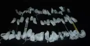 LOT OF 16 SKEINS OF NOS DMC COTTON EMBROIDERY FLOSS WHITE 6 STRAND