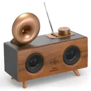 Retro Bluetooth Speaker Vintage Radio Vintage Decor with AM FM Radio