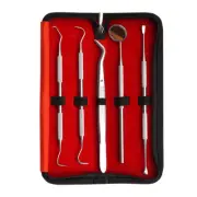Dental Teeth Whitening Kit Dentist Tweezers Tooth Plaque Calculus TartarEC