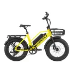 【ENERMAX 安耐美】JUSTER杰司特 低跨點胖胎電動輔助自行車(自行車/電輔車/越野登山車)