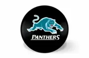 NRL Pool Snooker Billiards - Eight Ball Or Replacement - Penrith Panthers