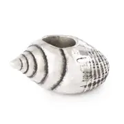Conch’s Call