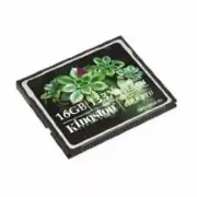 Kingston Elite Pro 16 GB 133x CompactFlash Memory Card (CF/16GB-S2)