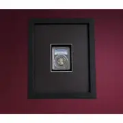 BLACK SHADOW BOX/FRAME FOR PCGS COINS- WITH COIN DISPLAY CASE FOR MODERN LOOK!