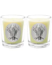 Qualitas Candles Vetiver Two Scented Beeswax Candle Set