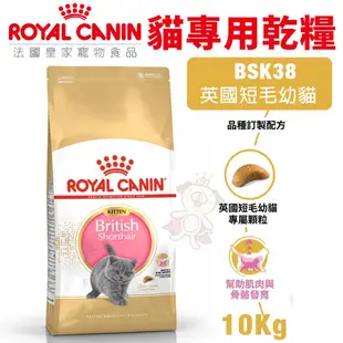 Royal Canin 法國皇家 貓專用乾糧 8Kg-15Kg【免運】幼貓 成貓 高齡貓 室內貓 貓飼料『WANG』