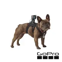 在飛比找PChome24h購物優惠-GoPro Fetch 寵物專用胸背帶 ADOGM-001 