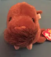 TY BEANIE BABY PAUL THE WALRUS TAGS RARE ERRORS