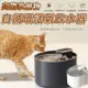 [現貨]寵物飲水器 貓咪智能飲水機 3L大容量 飲水器 貓狗通用 自動循環過濾飲水器 高階款寵物自循環活氧飲水器