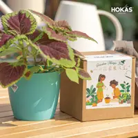 在飛比找蝦皮商城優惠-【HOKAS】植物小盆栽 教具 小小花園魔法盒 辦公室綠化 