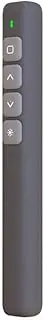 Multimedia Page Turning Pen Presentation Clicker Multipurpose PPT USBPe Presenter Remoteler Wireless 2.4GHz