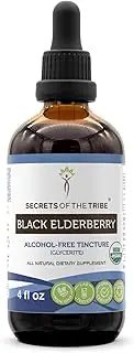 Black Elderberry USDA Organic Tincture | Alcohol-FREE Extract, High-Potency Herbal Drops, Immune System Health | Made from 100% Certified Organic Black Elderberry (Sambucus Nigra) 4 oz